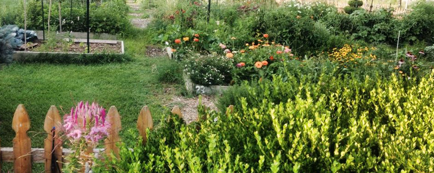 community-garden