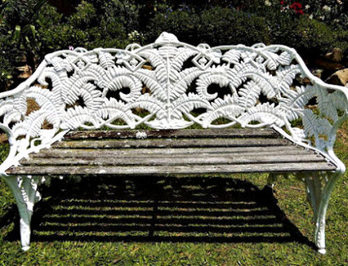 2020: Lafayette Park Ferns – Of Fiddleheads and Rabbit Holes