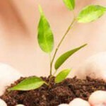 Associated Counseling & Assessment Services Logo