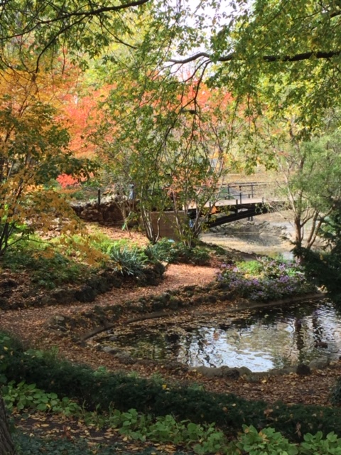 Marcella Petzchen (1)